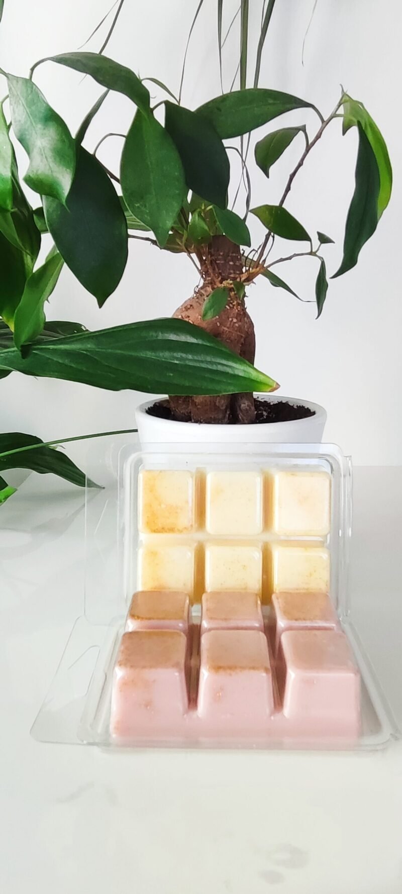 Esencia Ecologica: Wax Melts Sin Toxicos - Image 6